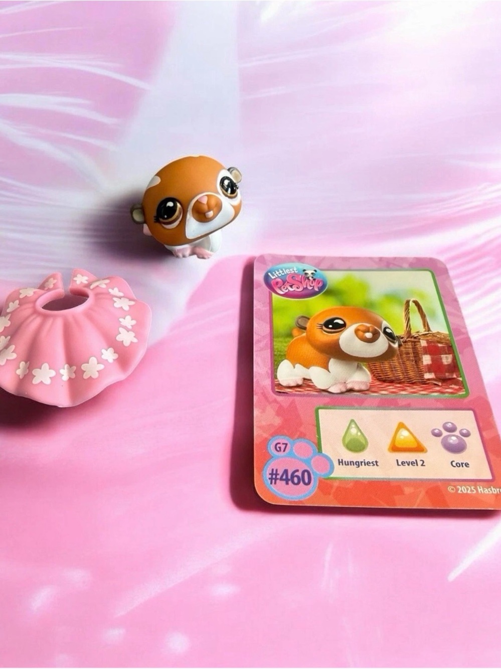 Littlest Pet Shop HAMSTER G7 #460 Series 5 - Accessory & Trading Card